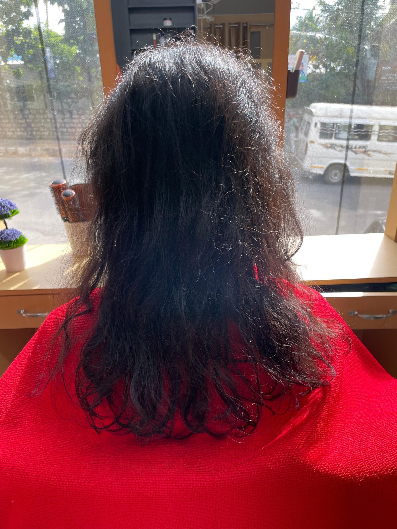 Frizzy Hair Before Treatment